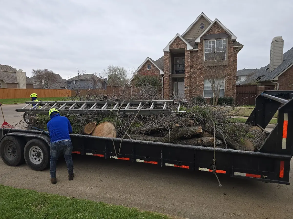 Expert Tree Pest Control with proper safety equipment in West Cornwall